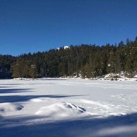 Haus Senn Lejlighed Seefeld in Tirol Eksteriør billede