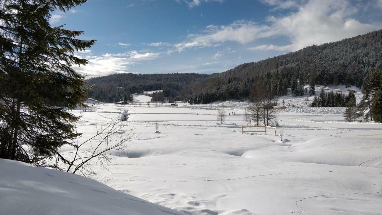 Haus Senn Lejlighed Seefeld in Tirol Eksteriør billede